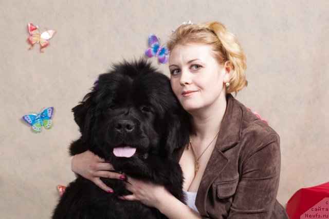 Фото: ньюфаундленд Потап Жослин