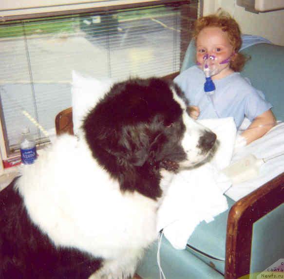 Фотография № 11148