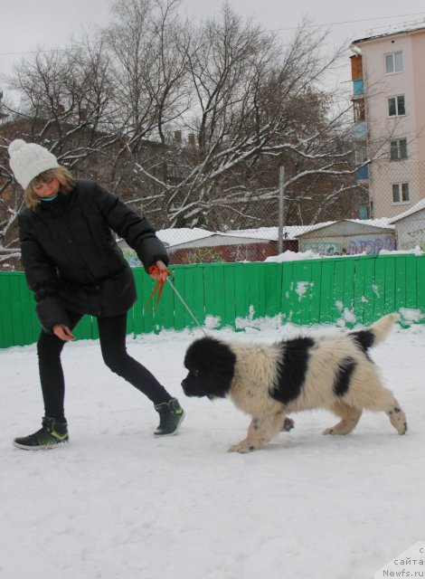 Фотография № 111484