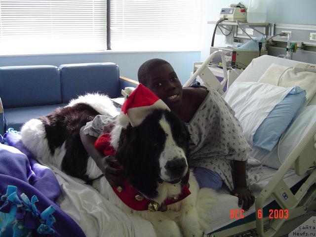 Фотография № 11149