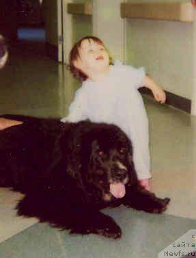 Фотография № 11150