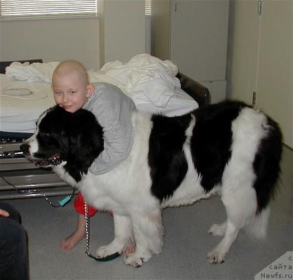 Фотография № 11151