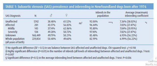 Фотография № 111513