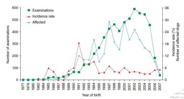 Фотография № 111514