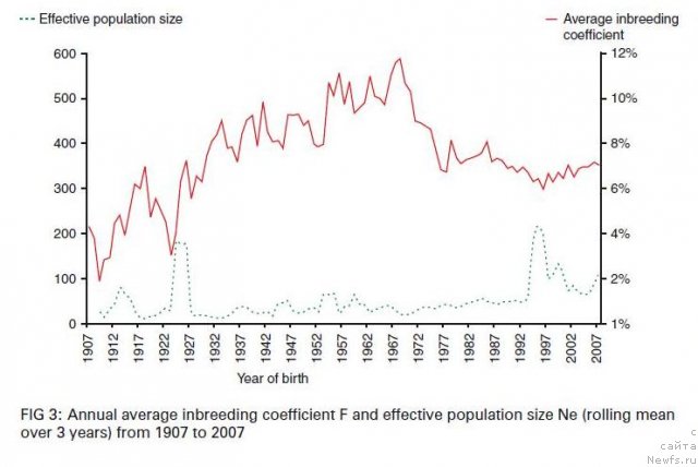 Фотография № 111515