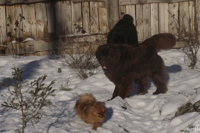 Фотография № 111527