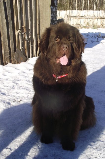 Фотография № 111529