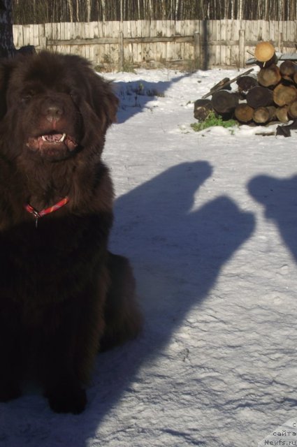 Фотография № 111530