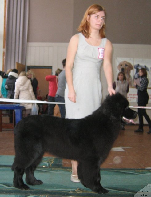 Фотография № 111542