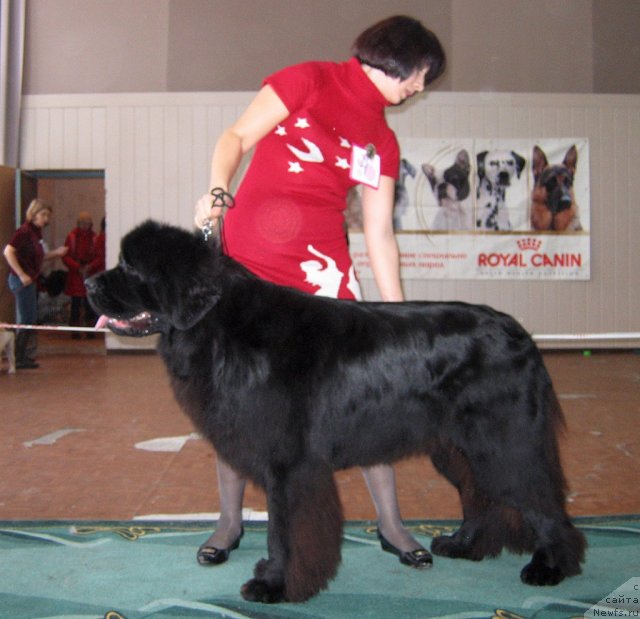 Фотография № 111545