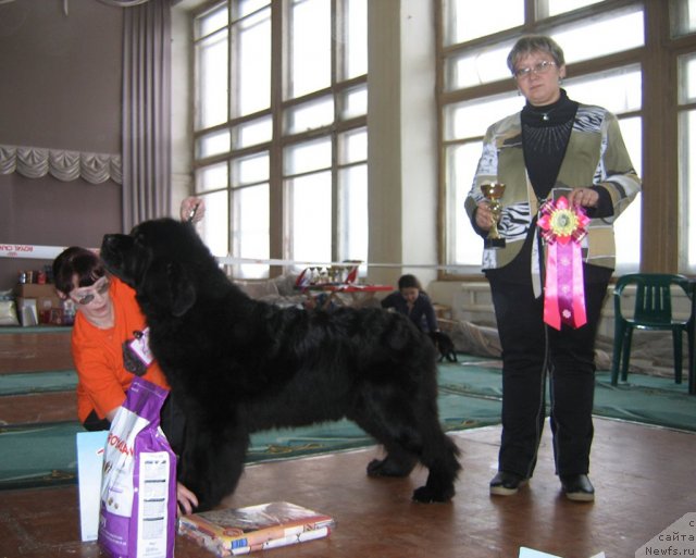 Фотография № 111547