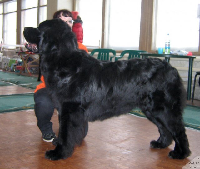 Фотография № 111549