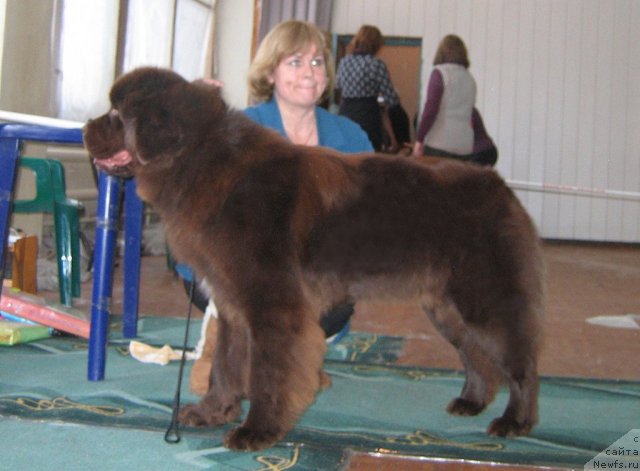 Фотография № 111550