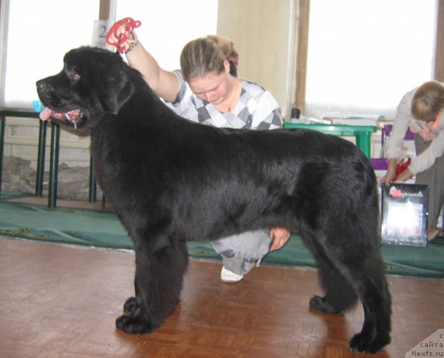 Фотография № 111552