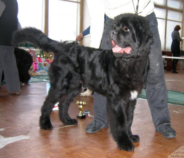 Фотография № 111553