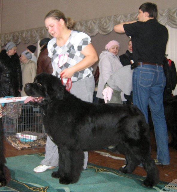 Фотография № 111557