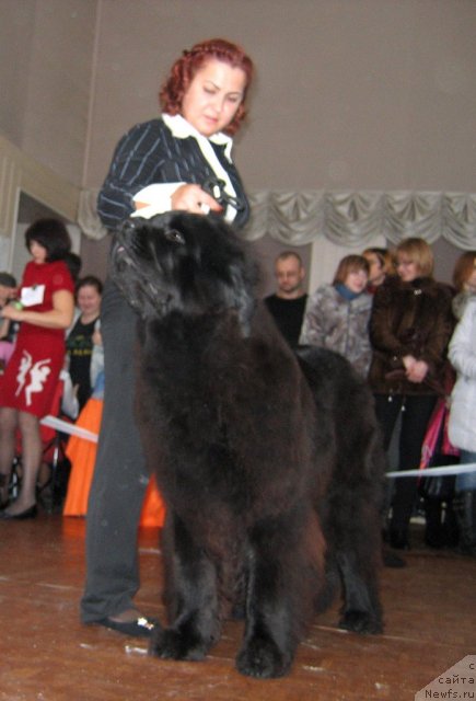 Фотография № 111558