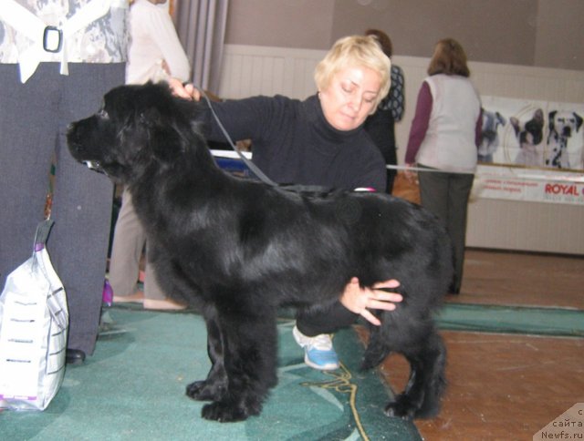 Фотография № 111561