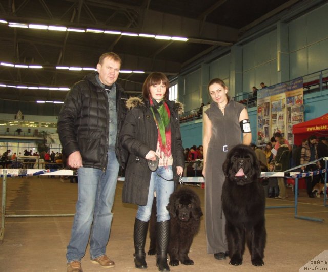 Фотография № 111571