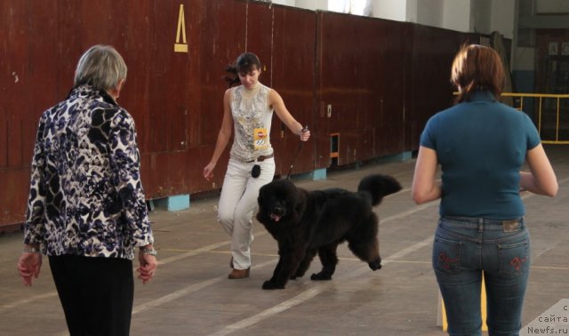 Фотография № 111579