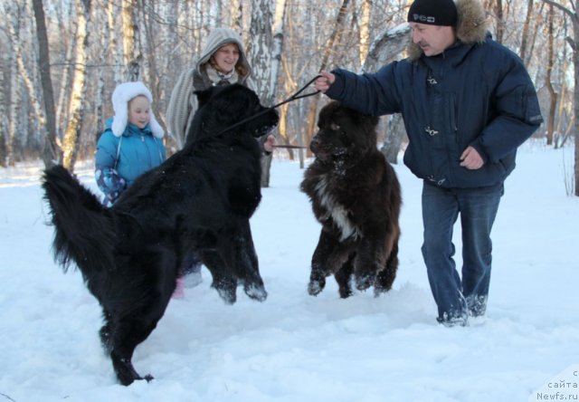 Фотография № 111583