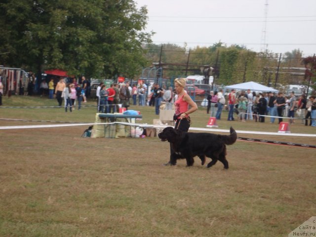 Фото: Arna, Наташа