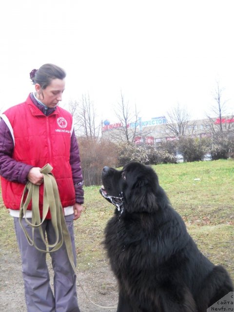 Фотография № 111593