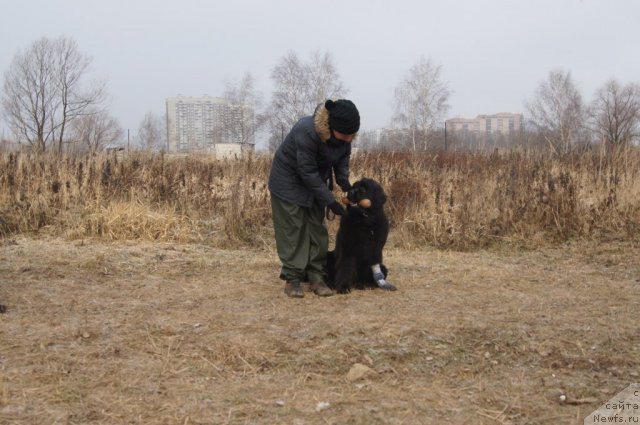 Фотография № 111606