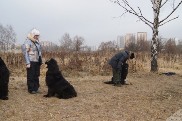 Фотография № 111613