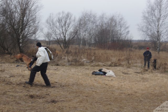 Фотография № 111619