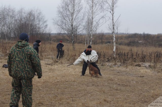 Фотография № 111620