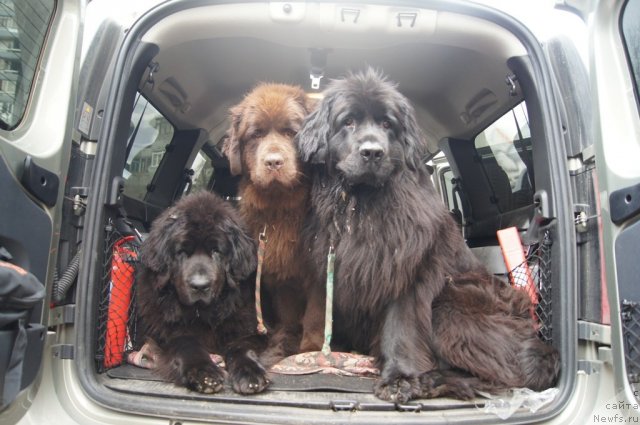 Фотография № 111623