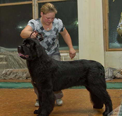 Фотография № 111657