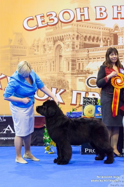 Фотография № 111660