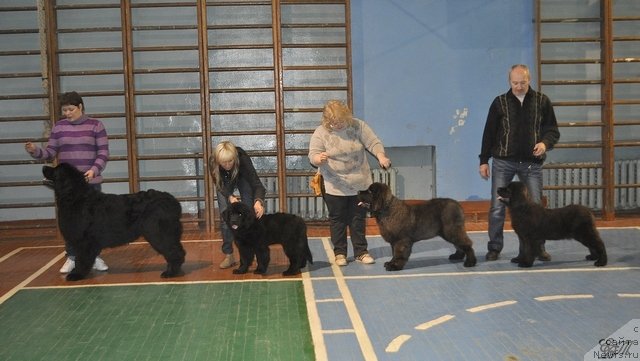 Фотография № 111662