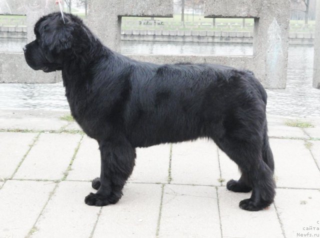 Фотография № 111687