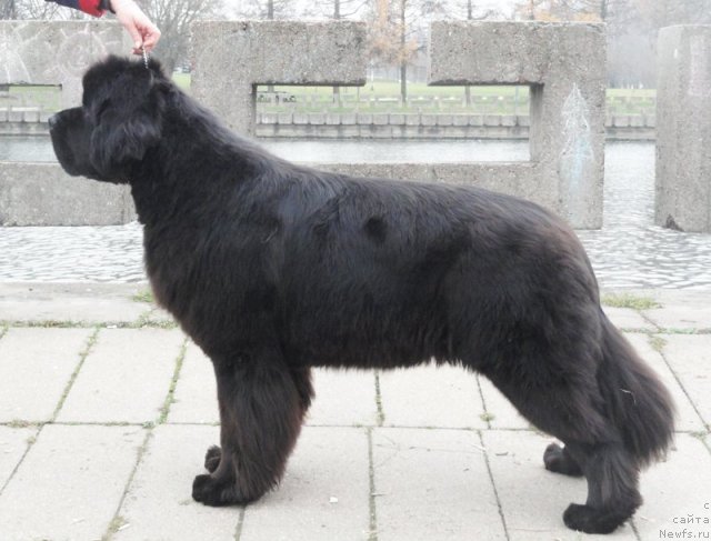 Фотография № 111694