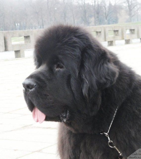 Фотография № 111696