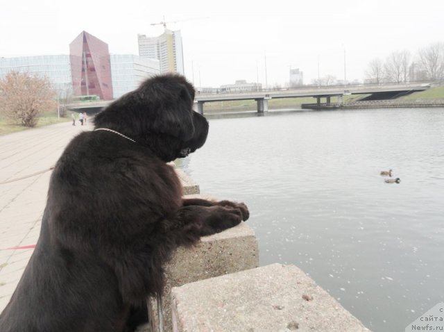 Фотография № 111699