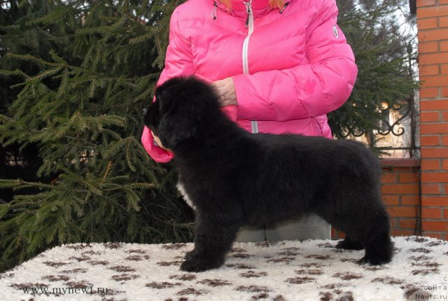 Фотография № 111720