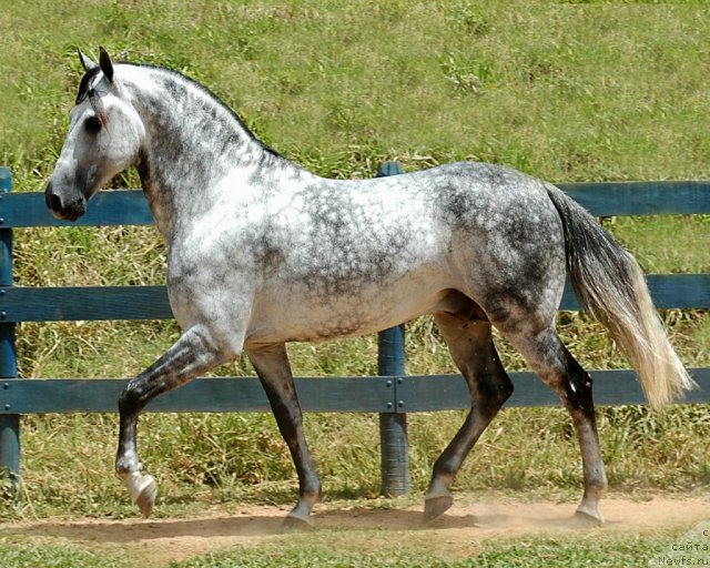 Фотография № 111741