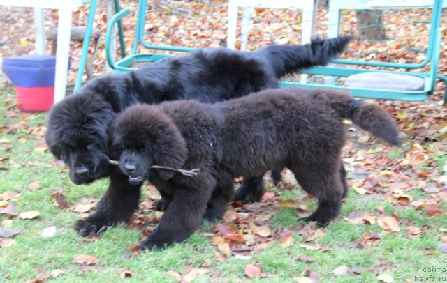 Фотография № 111750