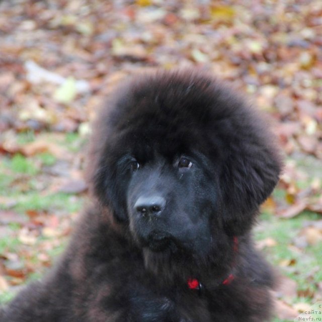 Фотография № 111751