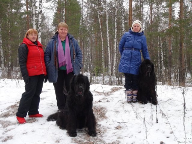 Фото: Татьяна Прусова, Светлана Пермякова, Лиля, ньюфаундленд Лесная Сказка Лунная Соната, ньюфаундленд Акин Соул София