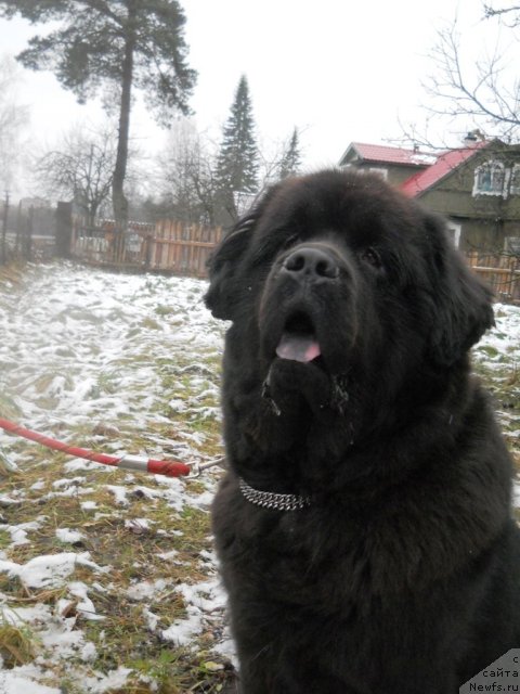 Фотография № 111763