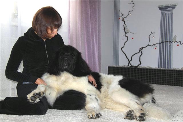 Фотография № 111788