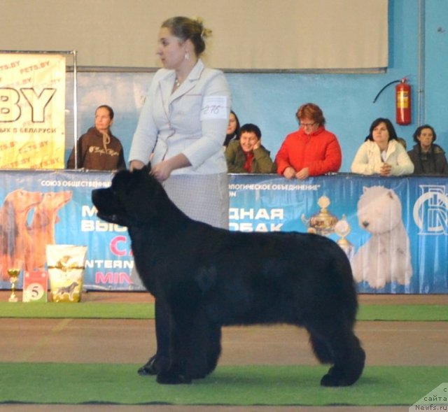 Фотография № 111790