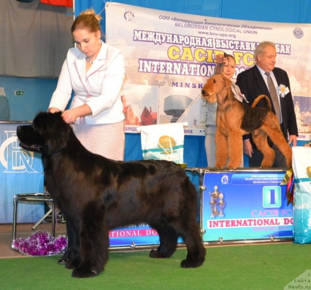 Фотография № 111791