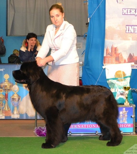 Фотография № 111792