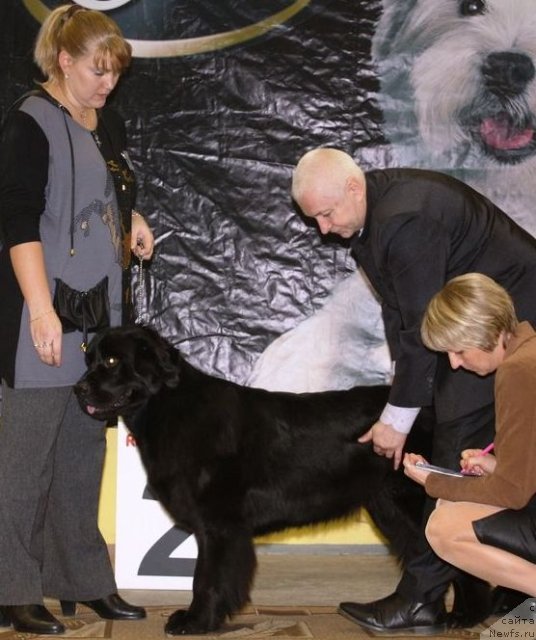 Фотография № 111818